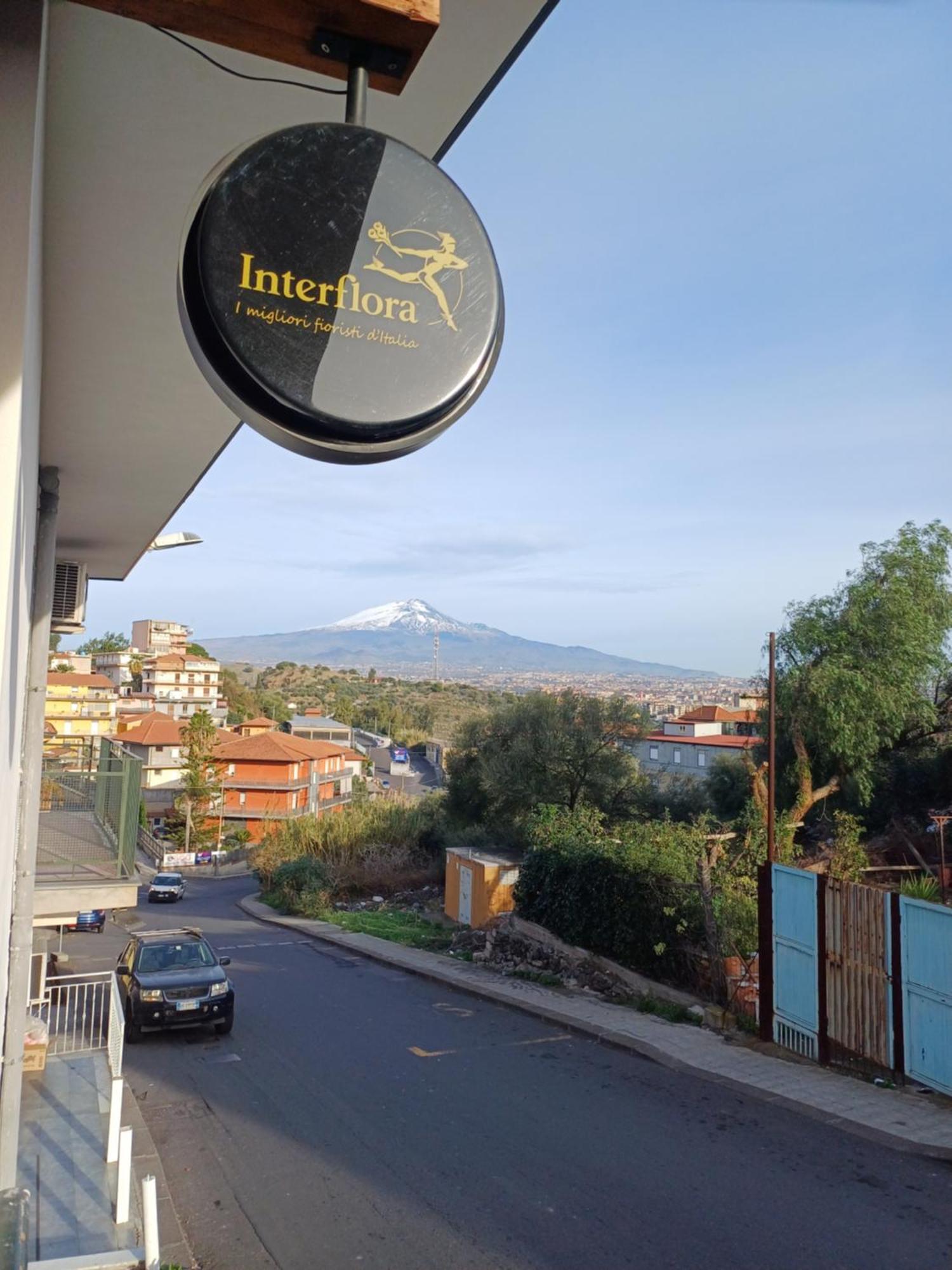 Dimora San Giorgio Catania Apartman Kültér fotó